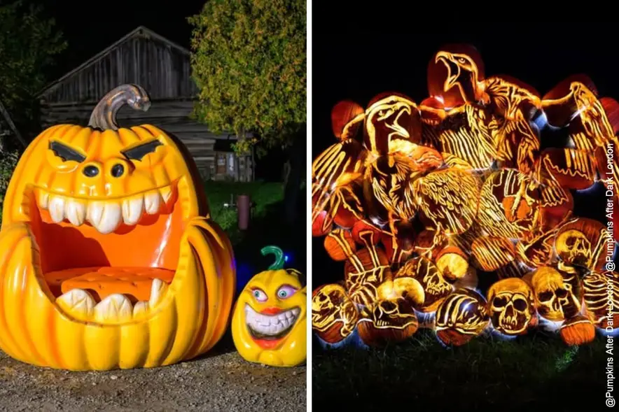 Pumpkins After Dark Returns to Storybook Gardens This October — What’s New for 2026