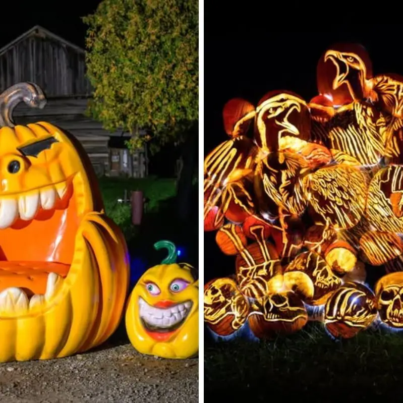Pumpkins After Dark Returns to Storybook Gardens This October — What’s New for 2026